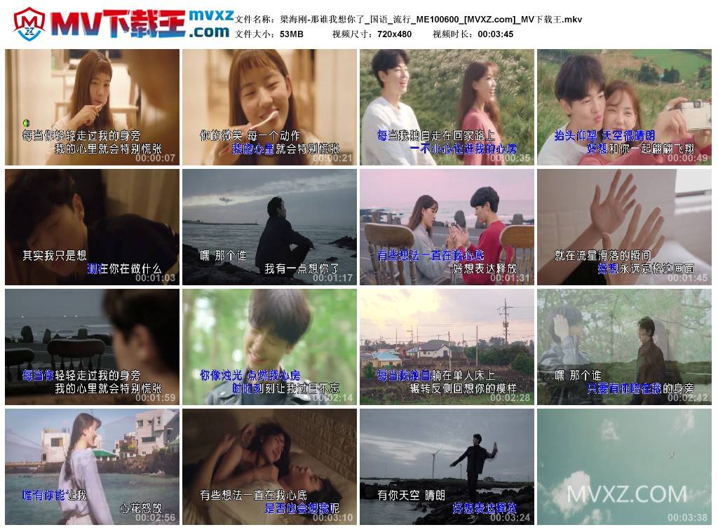 梁海刚-那谁我想你了_国语_流行_ME100600